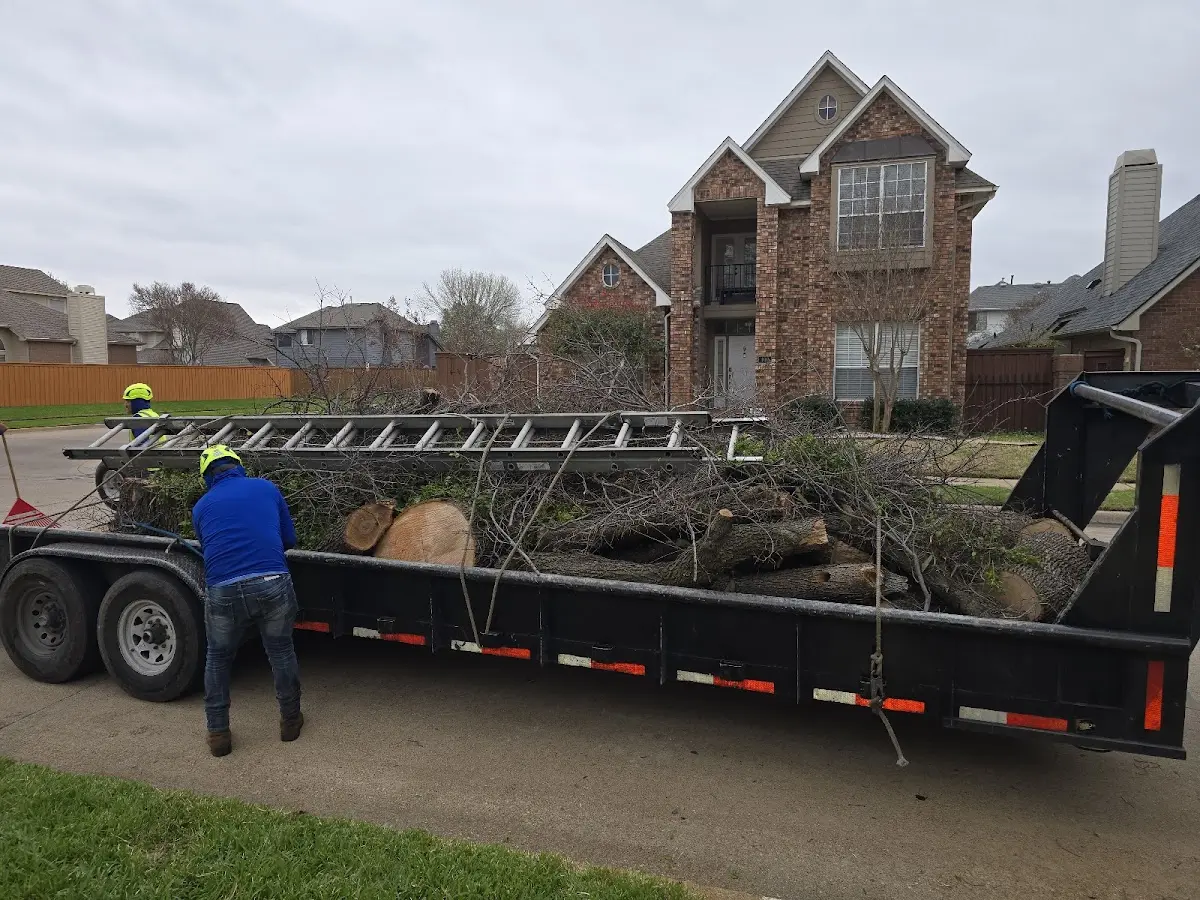 Expert Tree Removal with proper safety equipment in Otsego